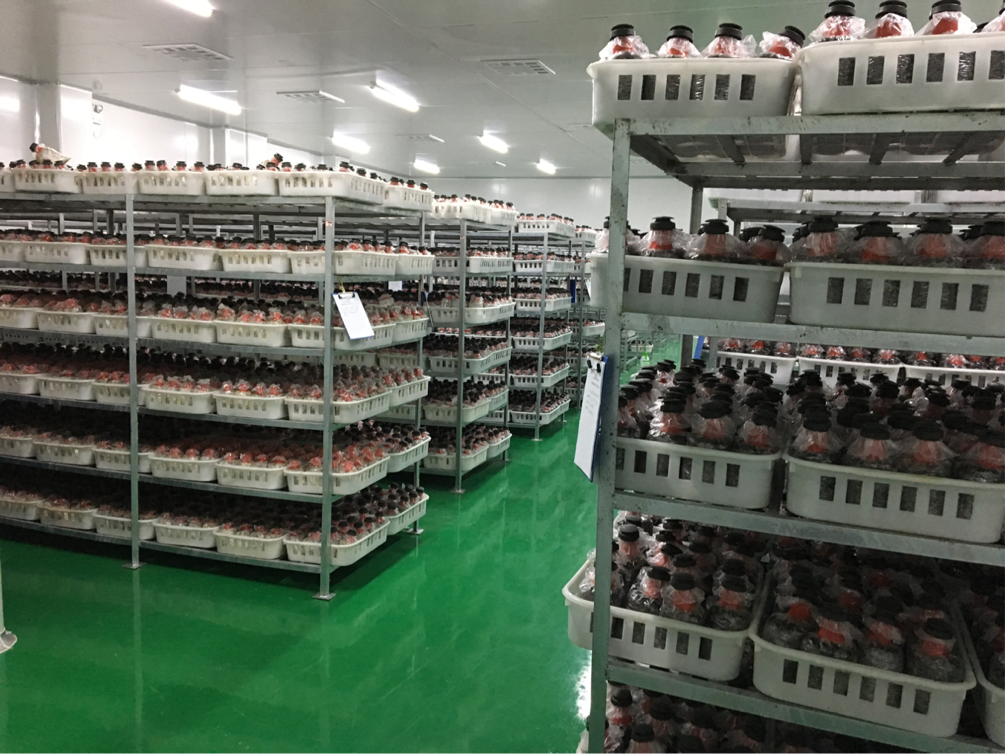 713贵宾会检测线路(中国)股份有限公司