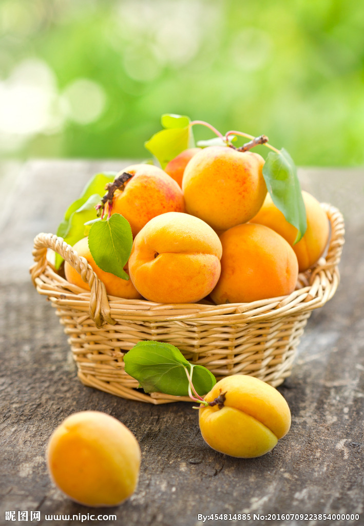 713贵宾会检测线路(中国)股份有限公司