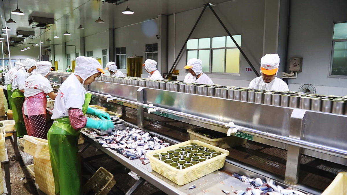 713贵宾会检测线路(中国)股份有限公司