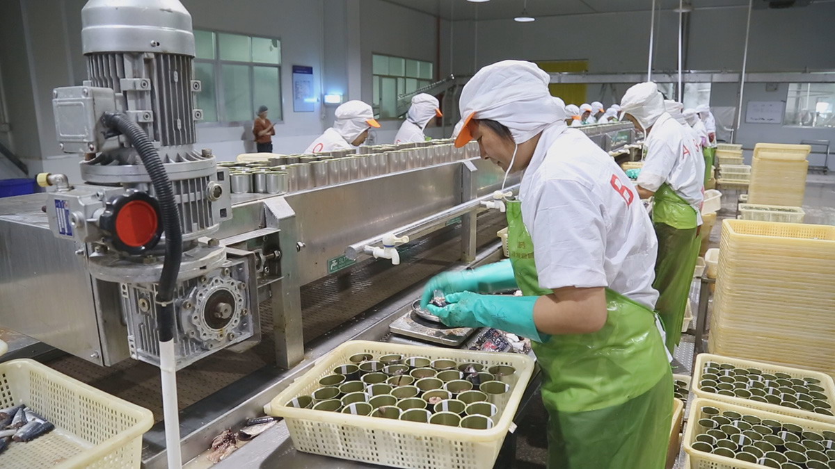 713贵宾会检测线路(中国)股份有限公司