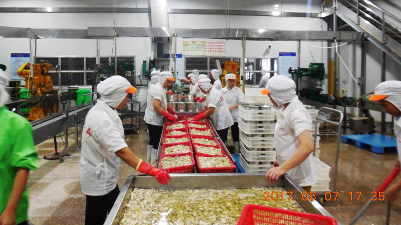 713贵宾会检测线路(中国)股份有限公司