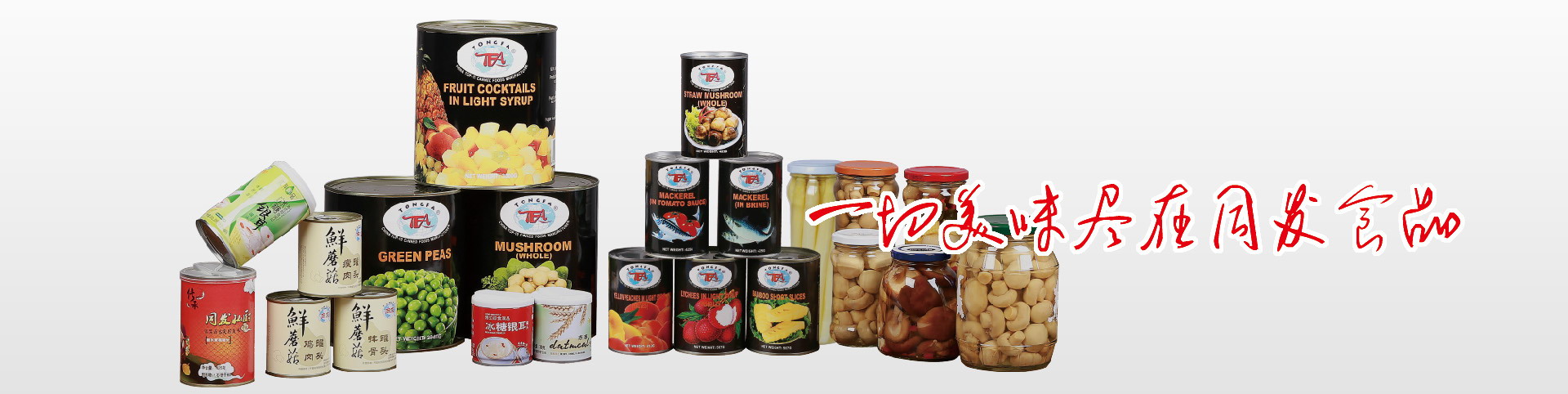 713贵宾会检测线路(中国)股份有限公司