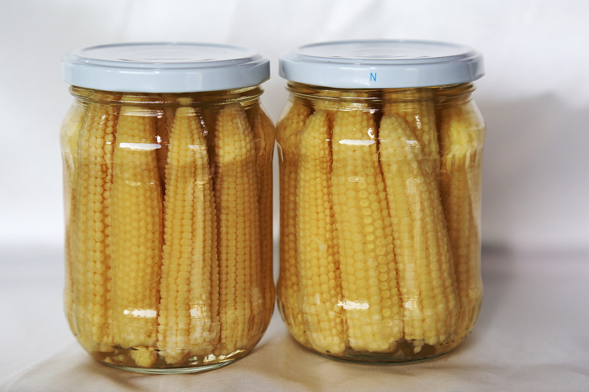 713贵宾会检测线路(中国)股份有限公司