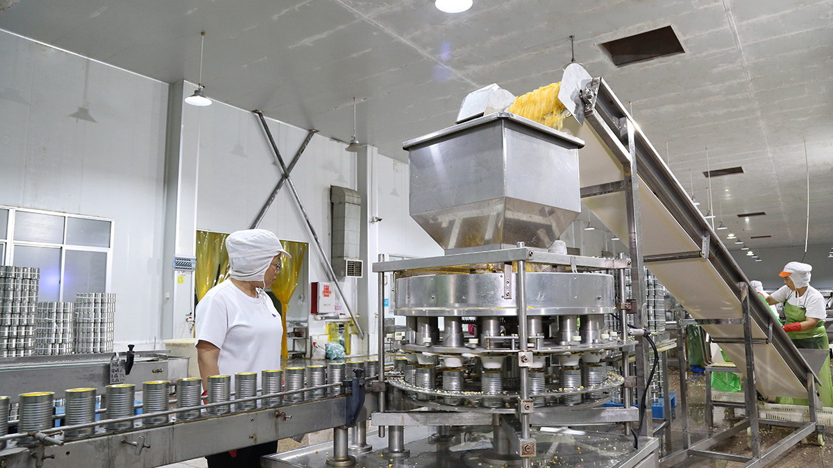 713贵宾会检测线路(中国)股份有限公司