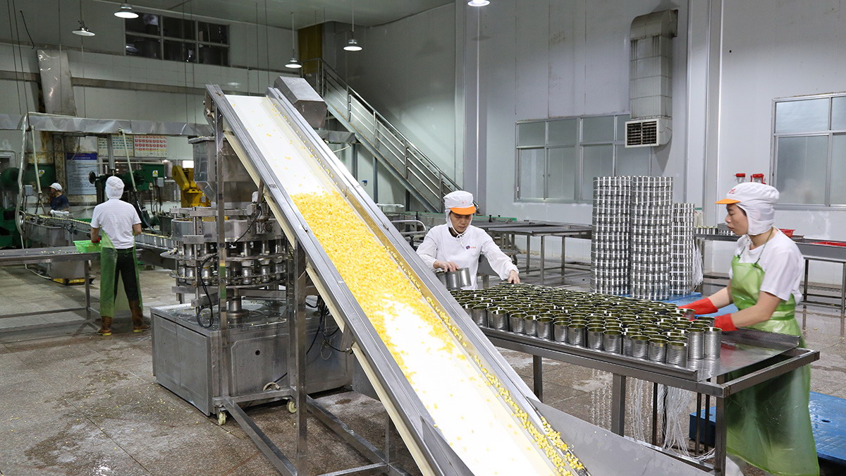 713贵宾会检测线路(中国)股份有限公司